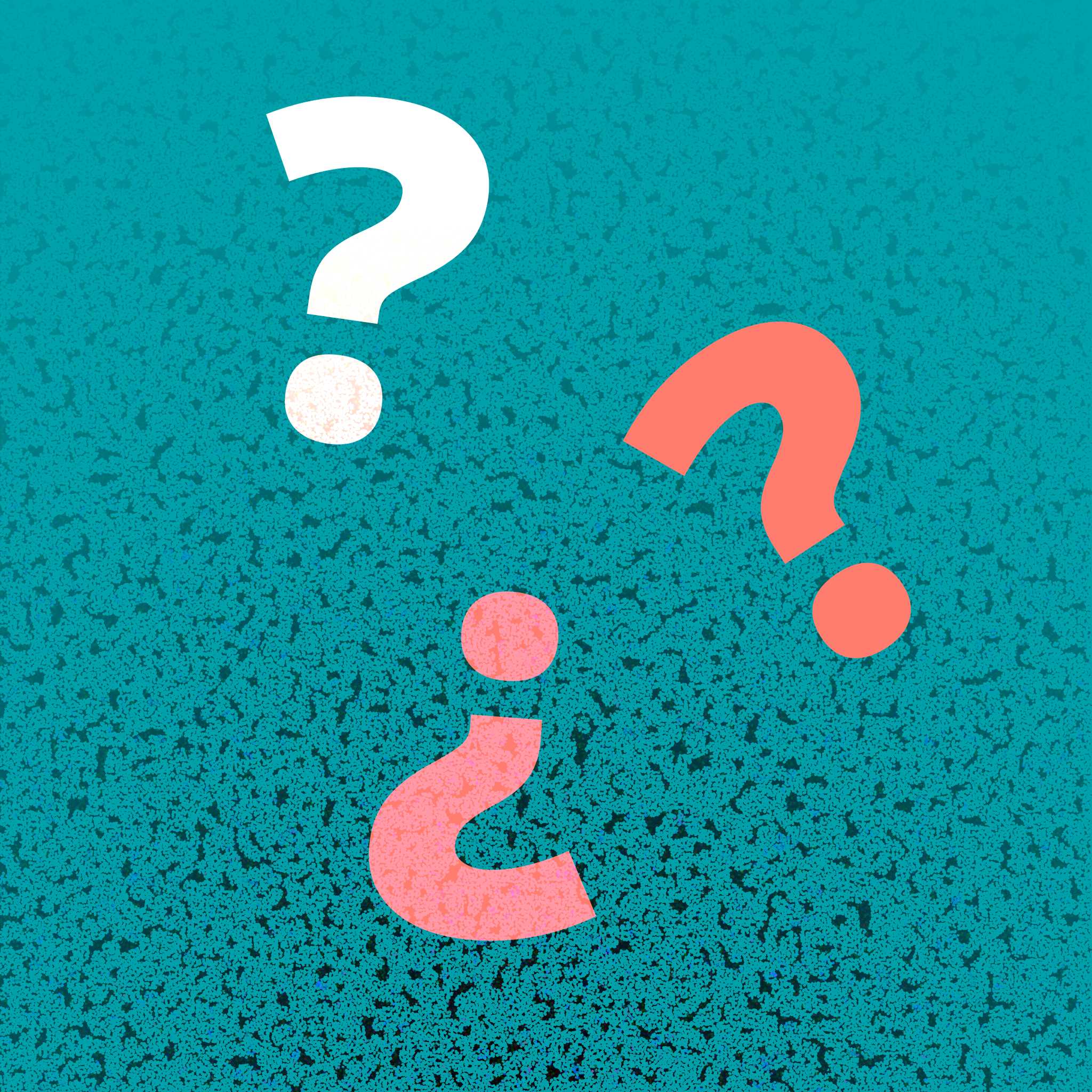Language Quiz -Taalniveau Quiz