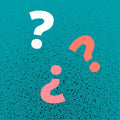 Language Quiz -Taalniveau Quiz